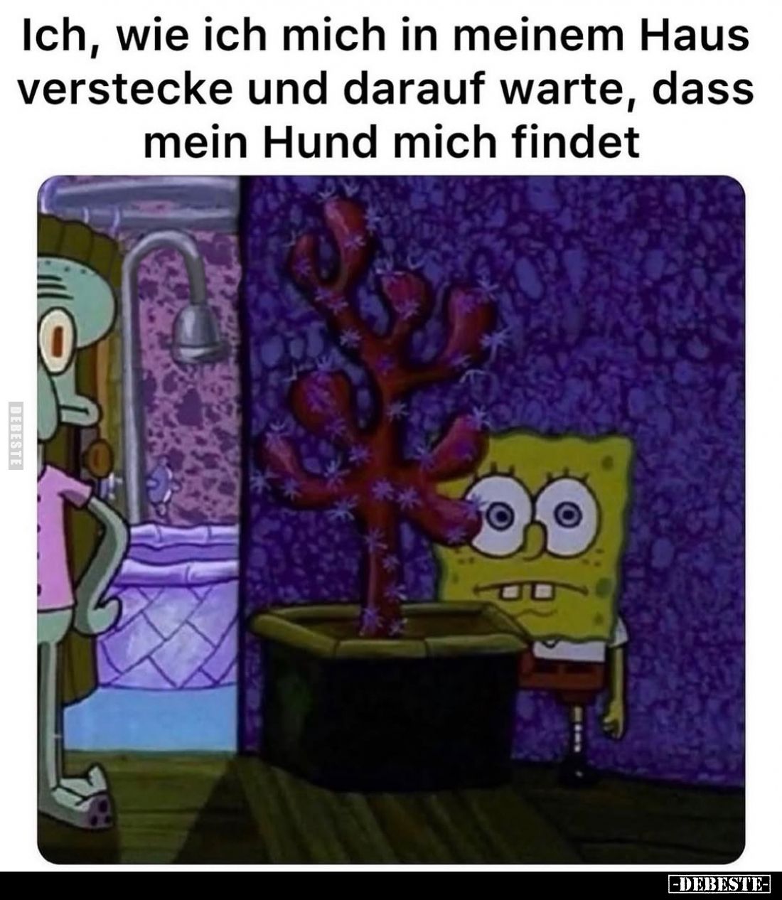 Ich, wie ich mich in meinem Haus verstecke und darauf warte, dass mein Hund mich findet