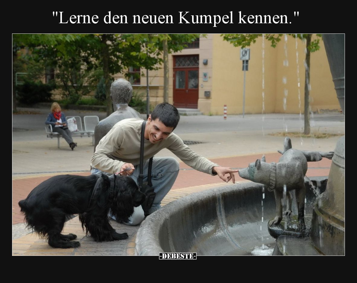 Lerne den neuen Kumpel kennen.