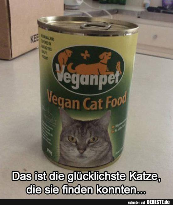Das ist die glücklichste Katze, die sie finden konnten.. - Lustige Bilder | DEBESTE.de