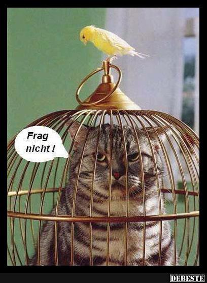 Frag nicht!