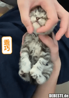 Pure Glückseligkeit..