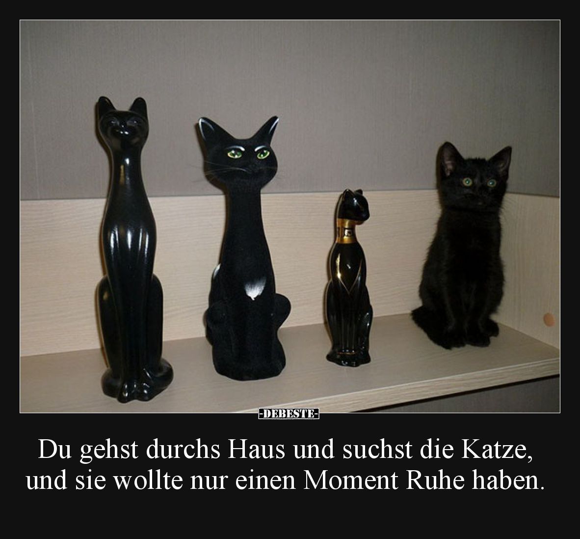 Du gehst durchs Haus und suchst die Katze, und sie wollte nur einen Moment Ruhe haben.