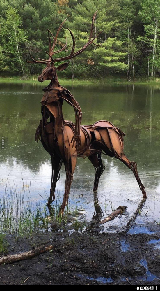  - Lustige Bilder | DEBESTE.de