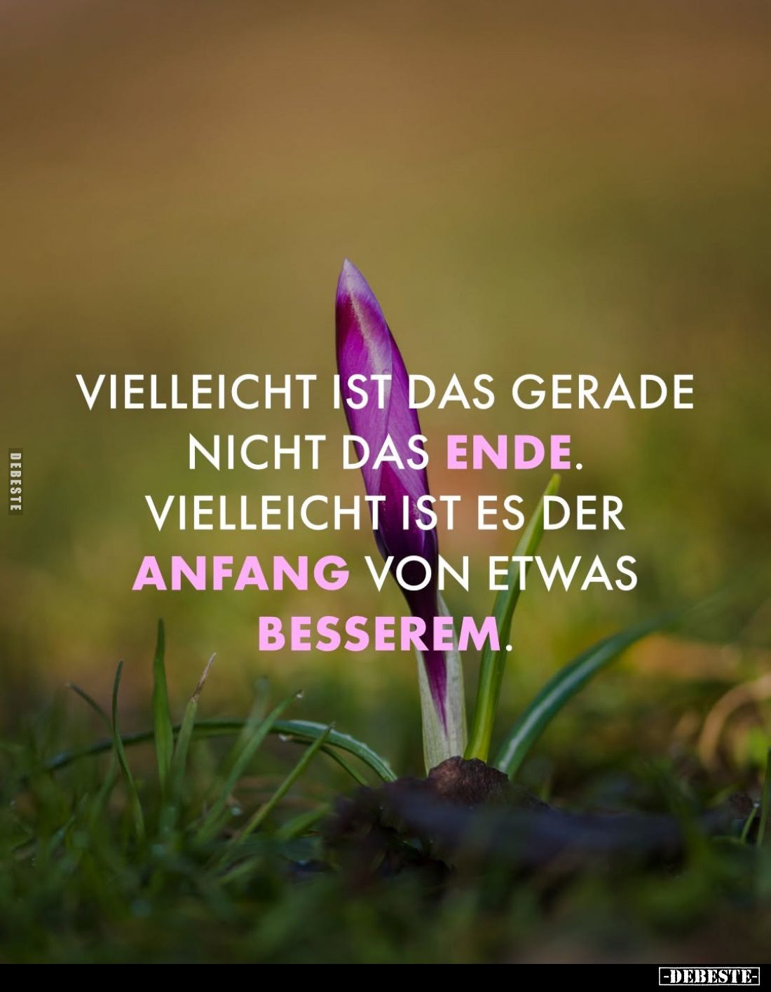 Vielleicht ist das gerade nicht das Ende.
Vielleicht ist es der Anfang von etwas besserem.