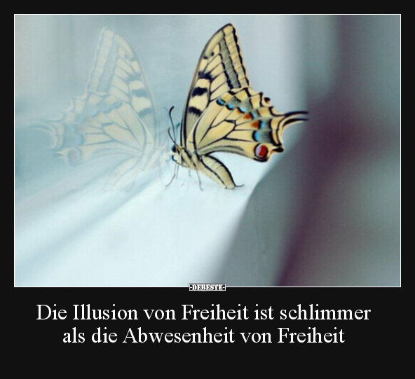 Die Illusion von Freiheit ist schlimmer als die.. - Lustige Bilder | DEBESTE.de