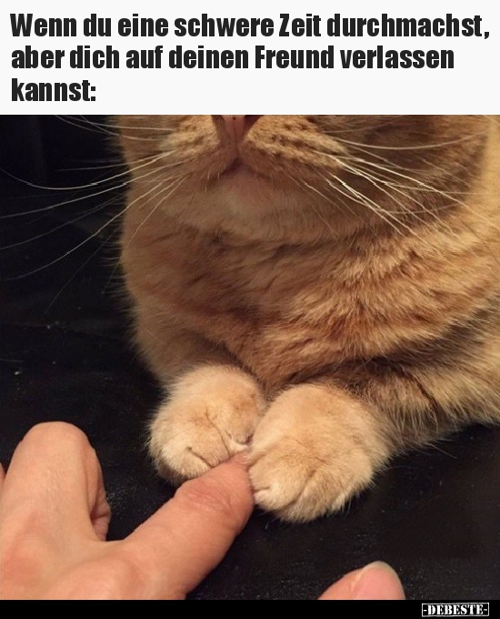 Wenn du eine schwere Zeit durchmachst, aber dich auf deinen..