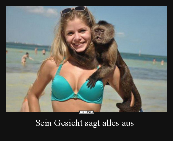 Sein Gesicht sagt alles aus..
