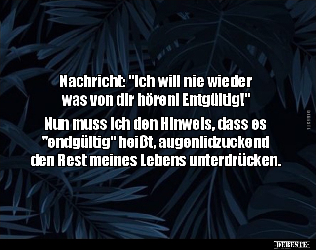 Nachricht: "Ich will nie wieder was von dir hören!.." - Lustige Bilder | DEBESTE.de