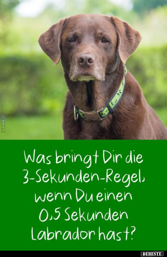 Was bringt Dir die 3-Sekunden-Regel.. - Lustige Bilder | DEBESTE.de
