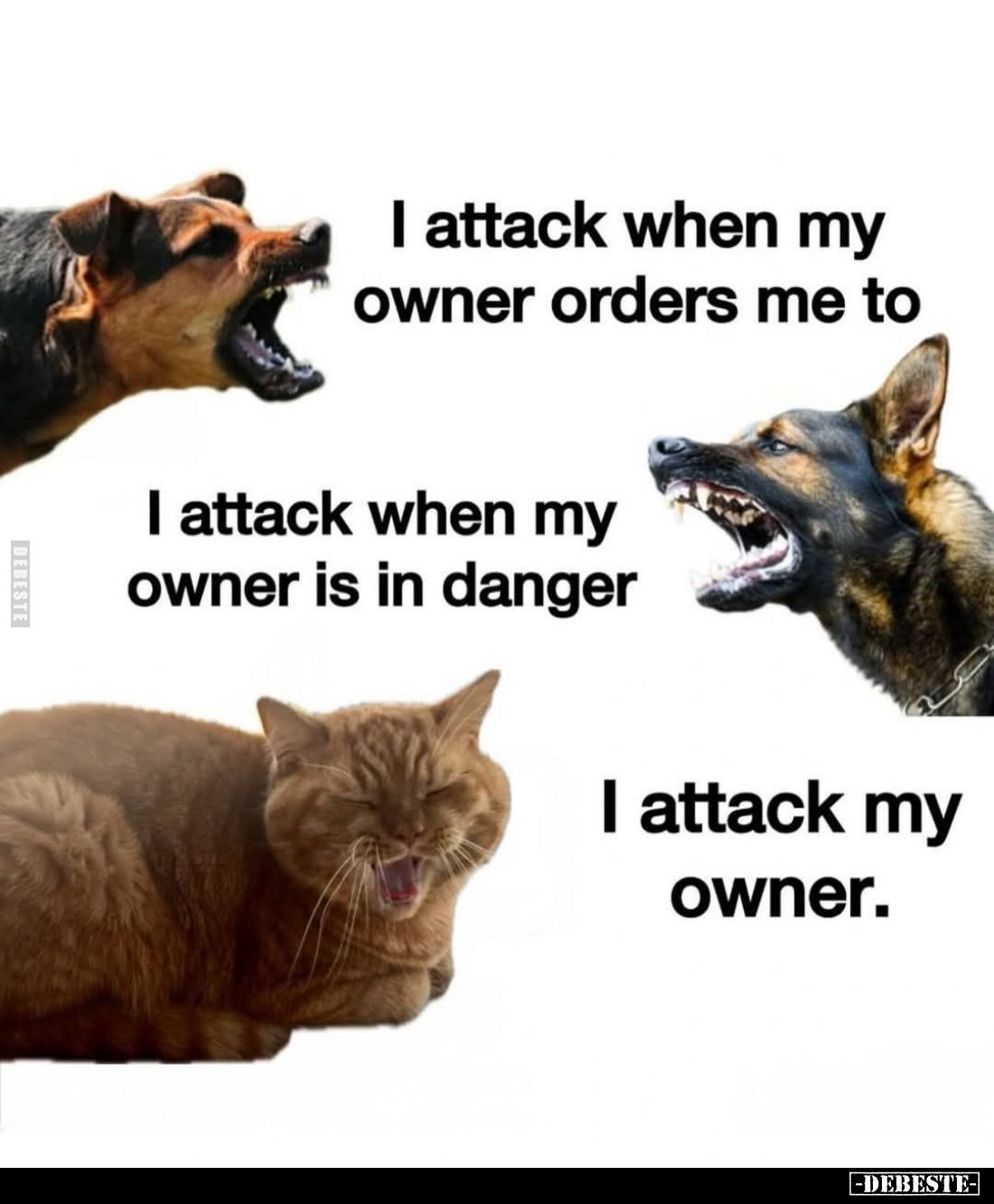I attack when my owner orders me to. -
I attack when my owner is in danger. -
I attack my owner.