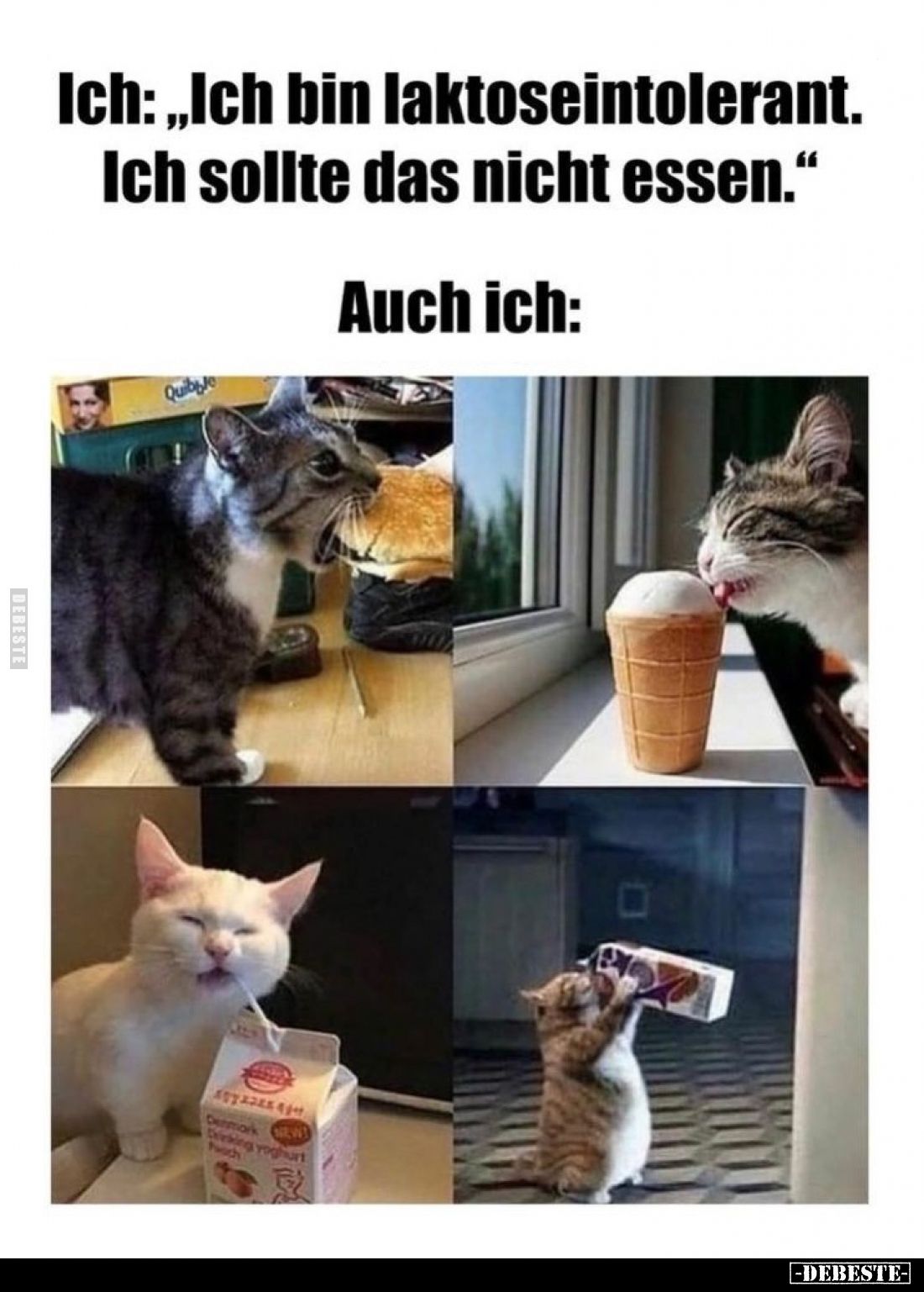 Ich: „Ich bin laktoseintolerant. Ich sollte das nicht essen."
Auch ich: