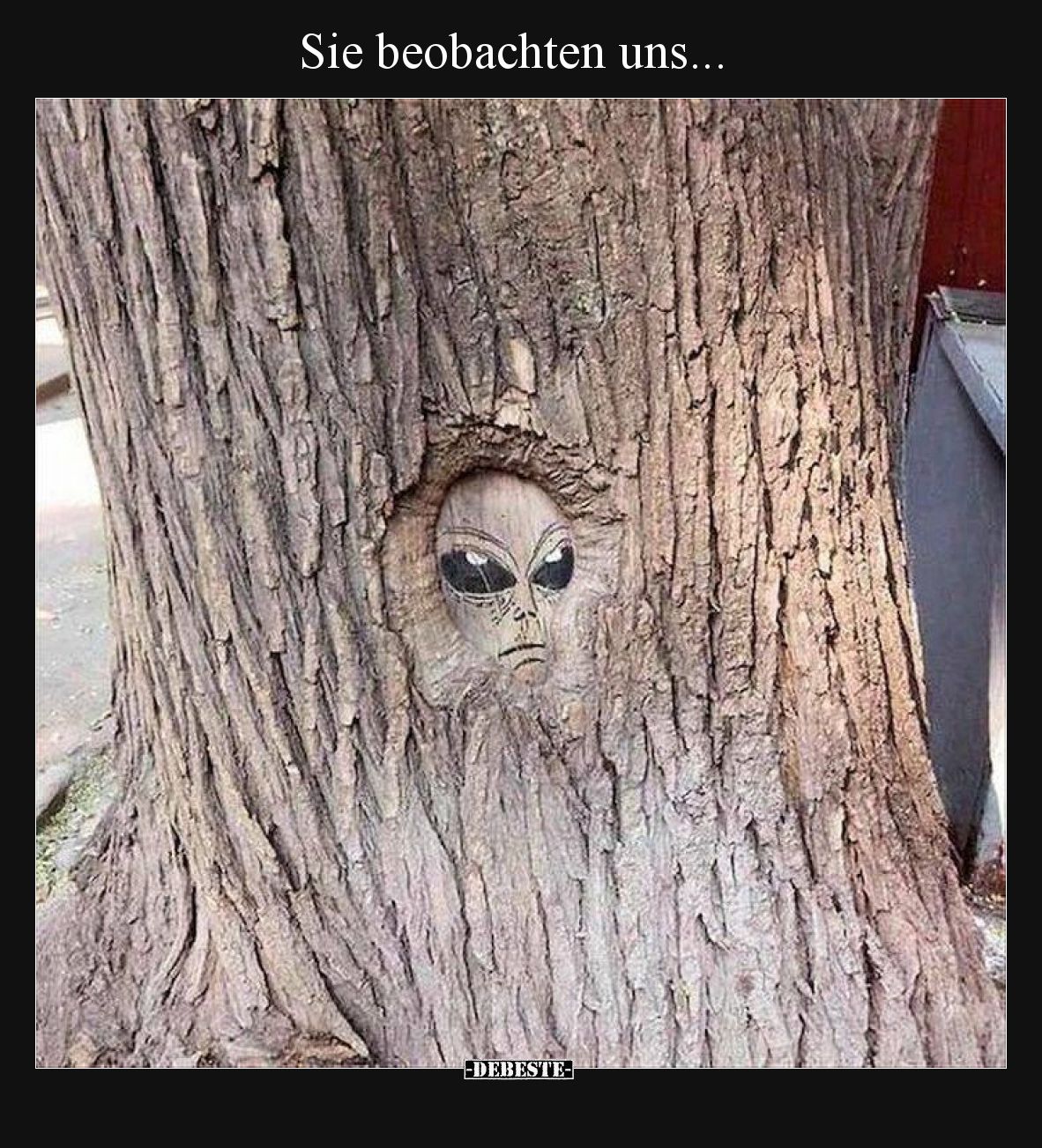 Sie beobachten uns.