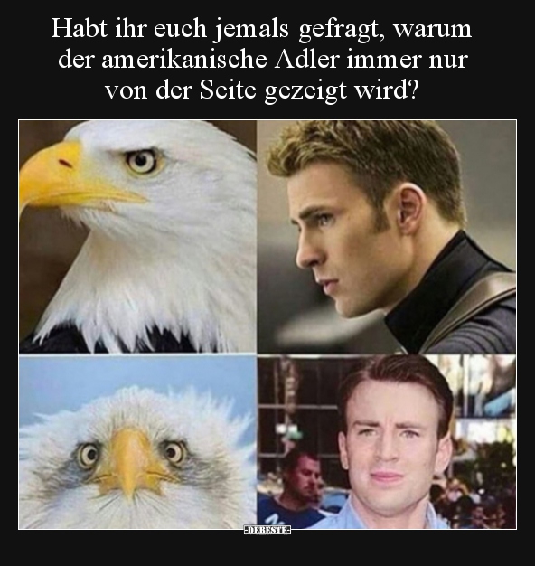 Habt ihr euch jemals gefragt, warum der amerikanische Adler.. - Lustige Bilder | DEBESTE.de