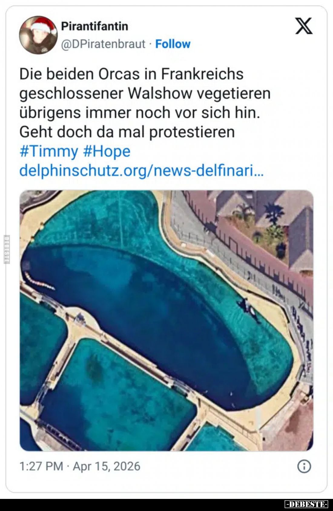 Die beiden Orcas in Frankreichs geschlossener Walshow vegetieren übrigens immer noch vor sich hin.
Geht doch da mal protesti...