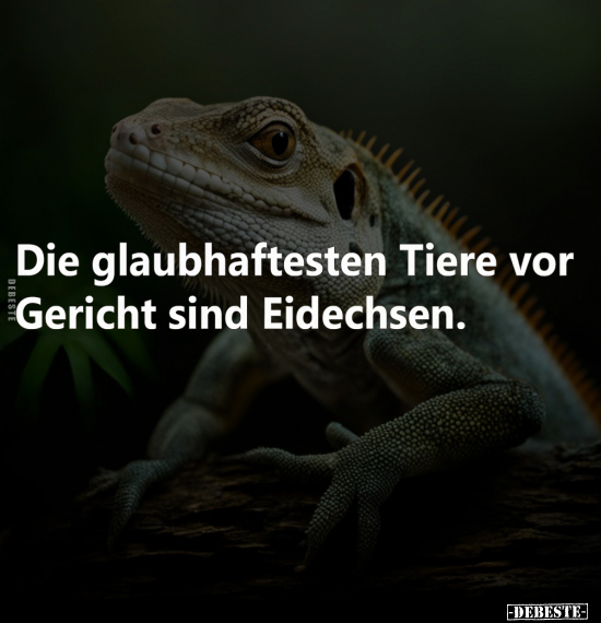 Die glaubhaftesten Tiere vor Gericht sind Eidechsen... - Lustige Bilder | DEBESTE.de