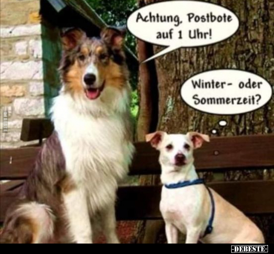 Achtung, Postbote auf 1 Uhr!.. - Lustige Bilder | DEBESTE.de