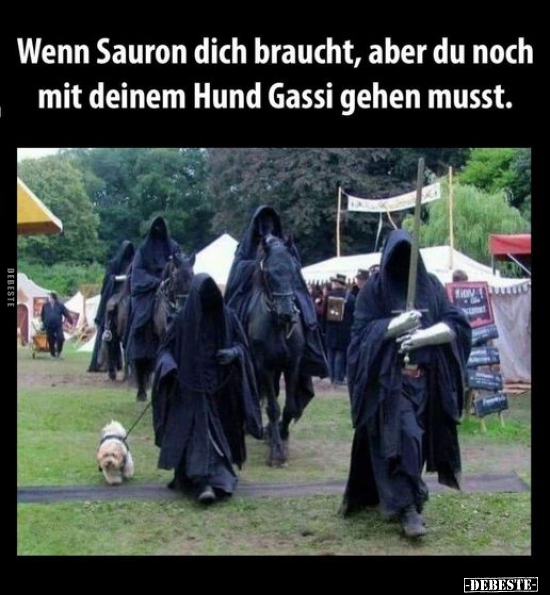 Wenn Sauron dich braucht, aber du noch mit deinem Hund.. - Lustige Bilder | DEBESTE.de
