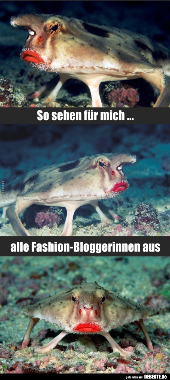 So sehen für mich alle Fashion-Bloggerinnen aus..