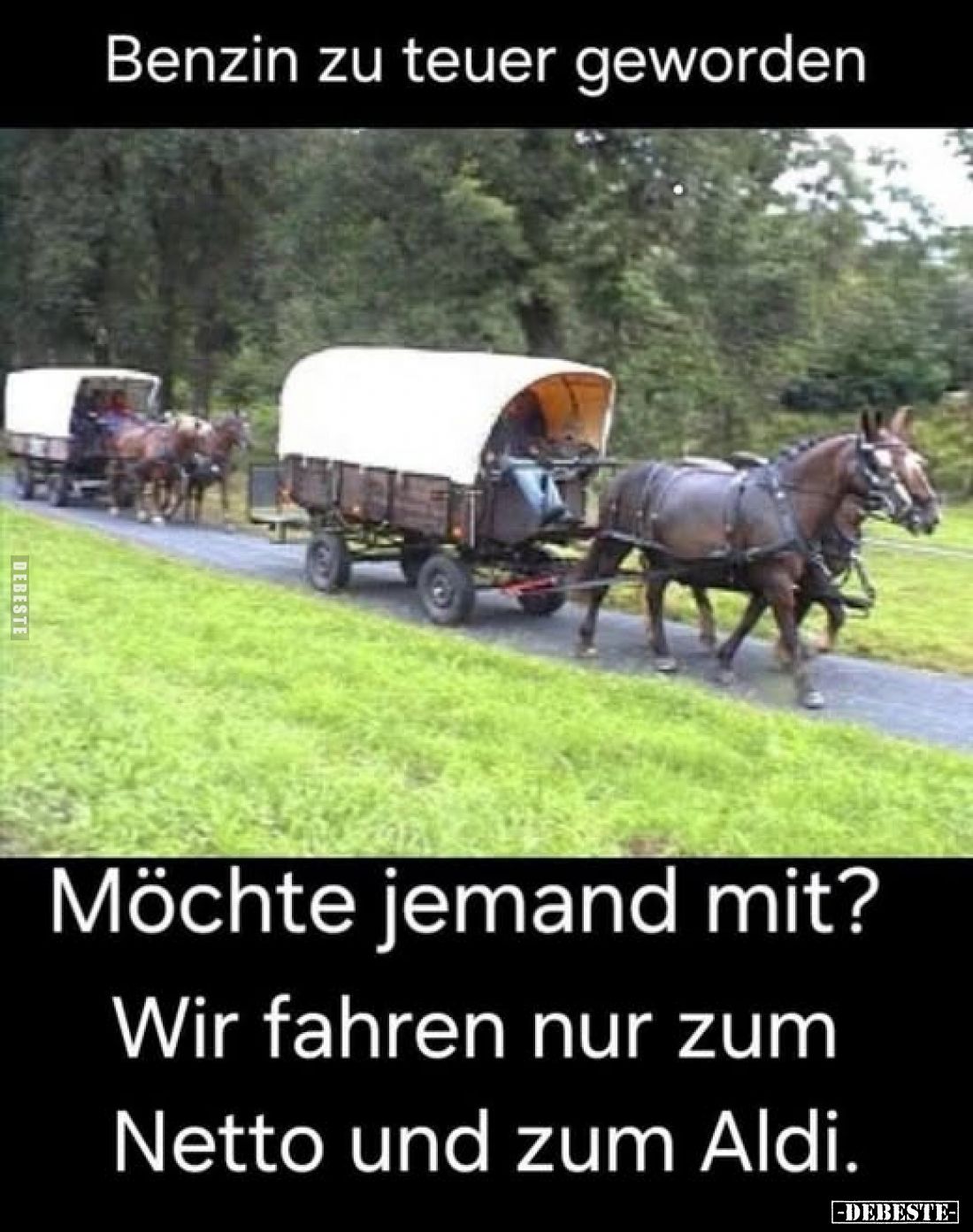 Benzin zu teuer geworden
-
Möchte jemand mit?
Wir fahren nur zum
Netto und zum Aldi.