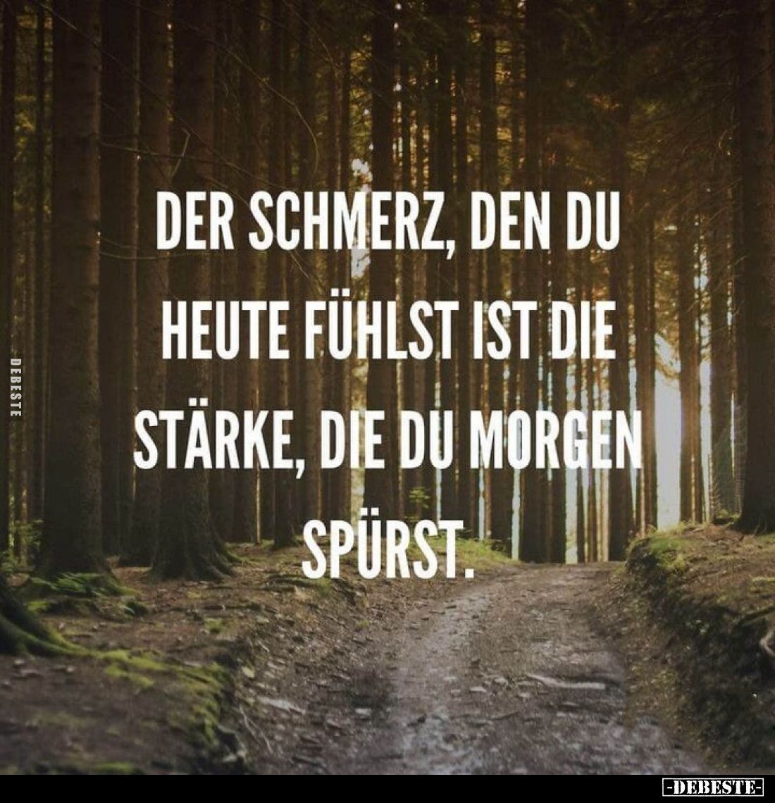 Der Schmerz, den du heute fühlst ist die Stärke, die du morgen spürst.
