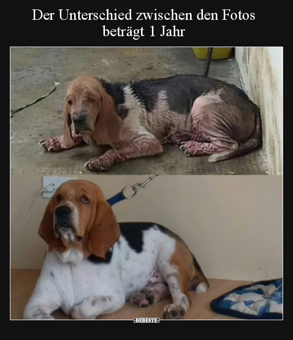 Der Unterschied zwischen den Fotos beträgt 1 Jahr.. - Lustige Bilder | DEBESTE.de