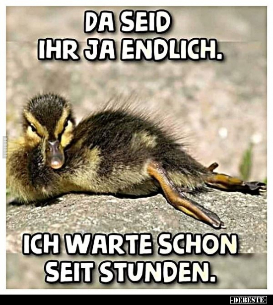 Da seid ihr ja endlich. Ich warte schon seit Stunden...