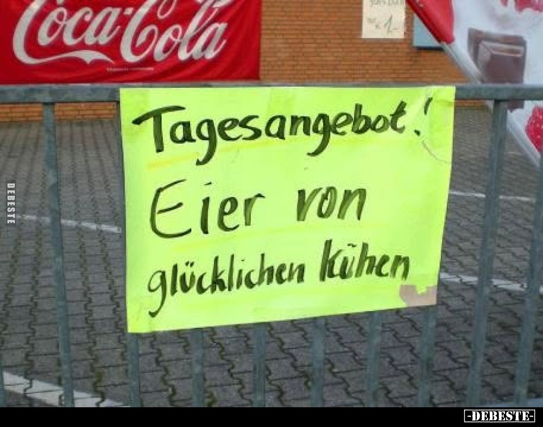 Tagesangebot:
Eier von glücklichen Kühen.