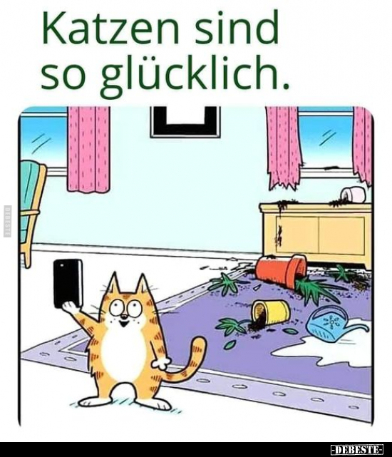 Katzen sind so glücklich... - Lustige Bilder | DEBESTE.de