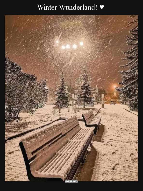 Winter Wunderland! ♥.. - Lustige Bilder | DEBESTE.de