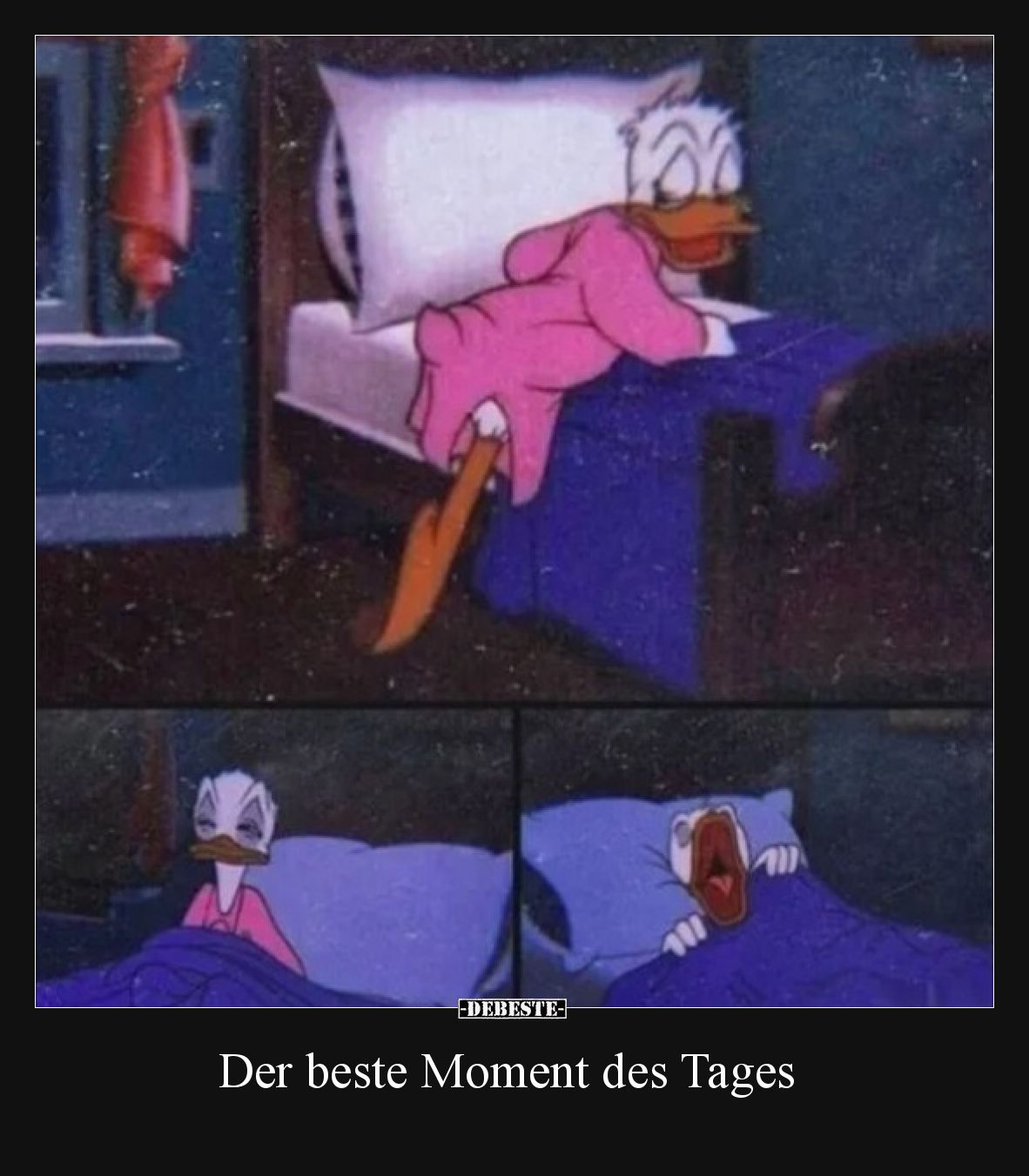 Der beste Moment des Tages.. - Lustige Bilder | DEBESTE.de