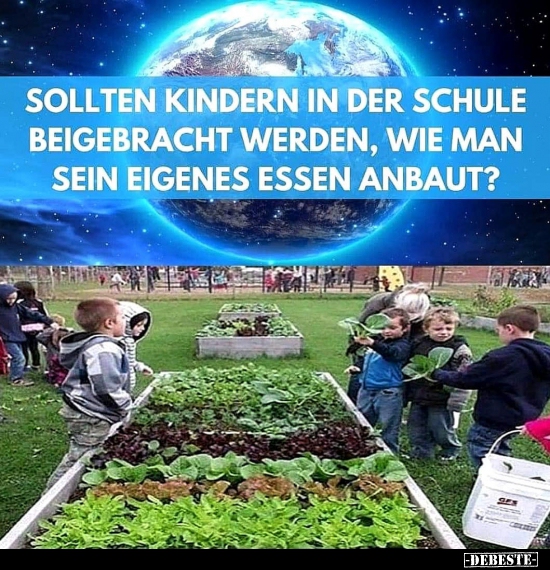 Sollten Kindern in der Schule beigebracht werden, wie man.. - Lustige Bilder | DEBESTE.de