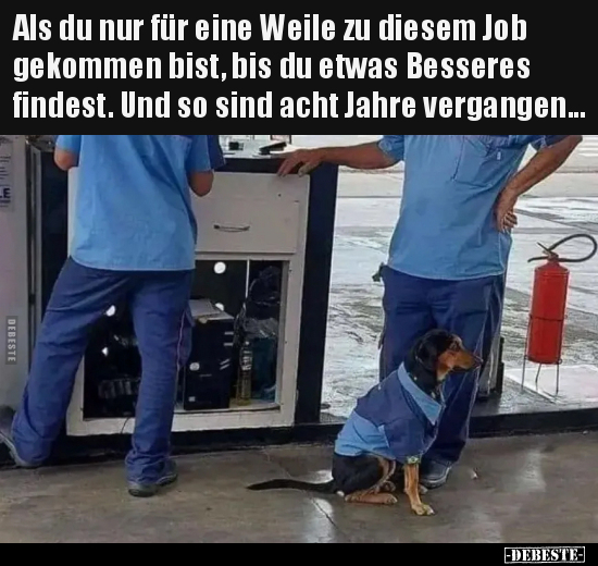 Als du nur für eine Weile zu diesem Job gekommen bist, bis.. - Lustige Bilder | DEBESTE.de