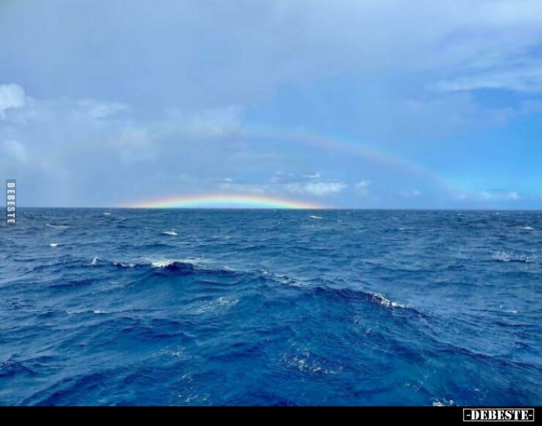  - Lustige Bilder | DEBESTE.de