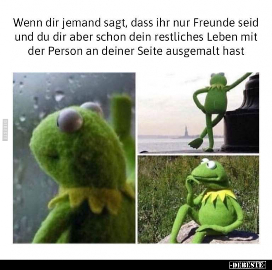 Wenn dir jemand sagt, dass ihr nur Freunde seid.. - Lustige Bilder | DEBESTE.de