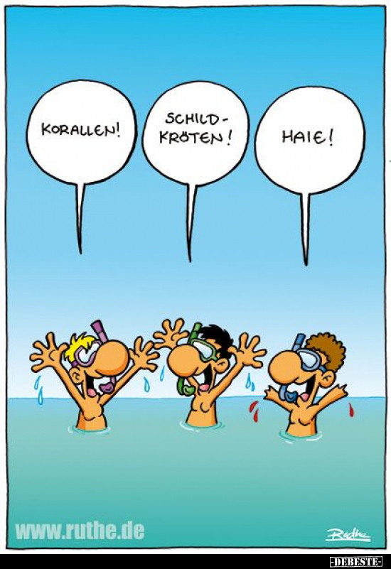 Korallen! Schildkröten! Haie!.. - Lustige Bilder | DEBESTE.de
