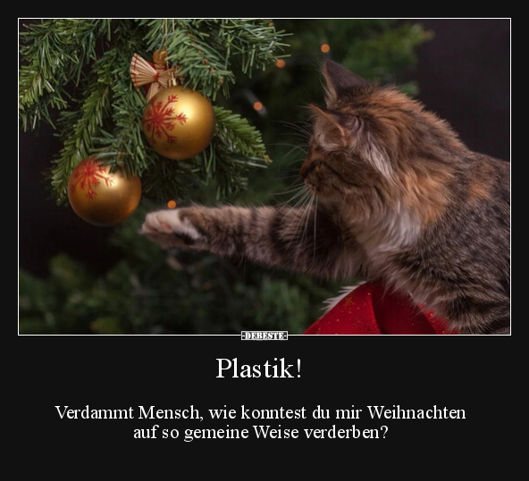Plastik! Verdammt Mensch, wie konntest du mir Weihnachten.. - Lustige Bilder | DEBESTE.de