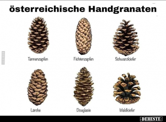 Österreichische Handgranaten.. - Lustige Bilder | DEBESTE.de