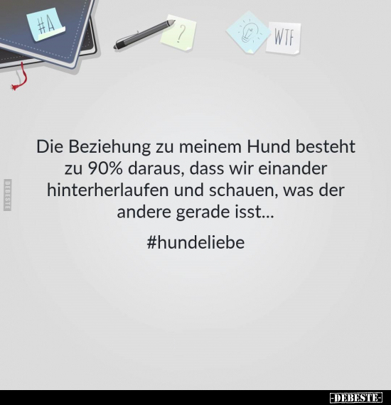 Die Beziehung zu meinem Hund besteht zu 90% daraus.. - Lustige Bilder | DEBESTE.de