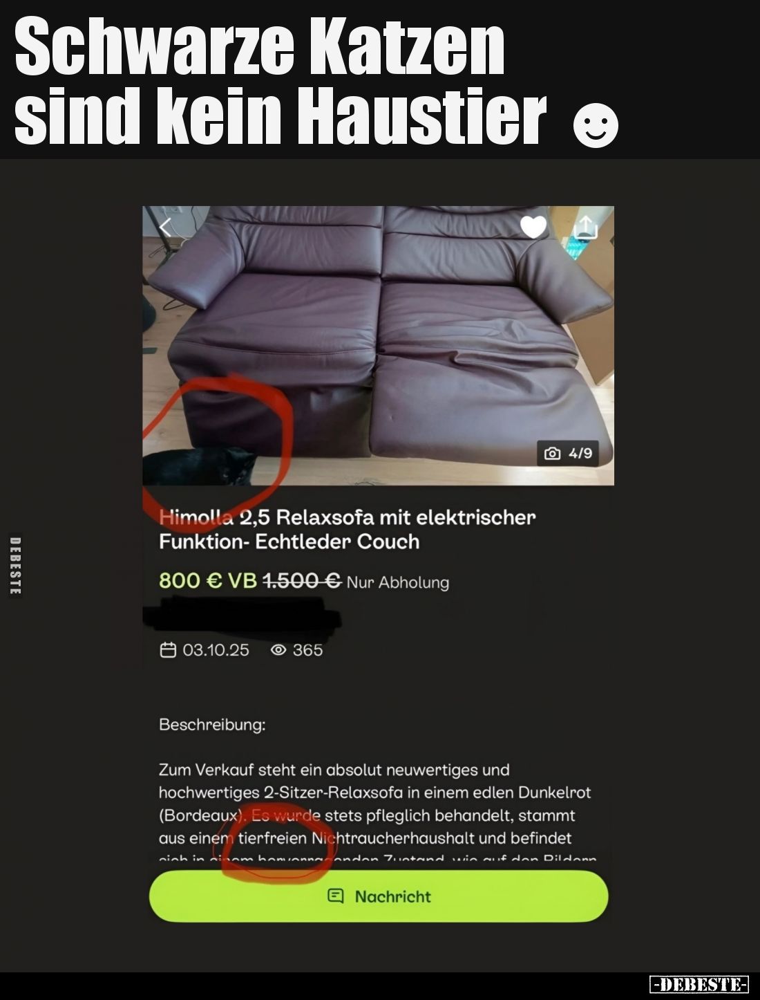 Schwarze Katzen sind kein Haustier.