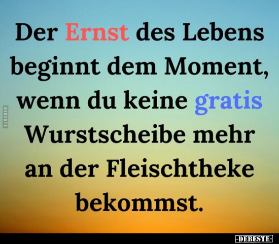 Der Ernst des Lebens beginnt dem Moment, wenn du keine.. - Lustige Bilder | DEBESTE.de