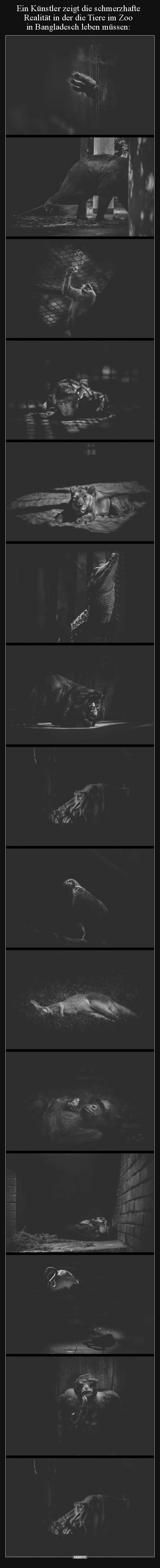 Ein Künstler zeigt die schmerzhafte Realität in der die..