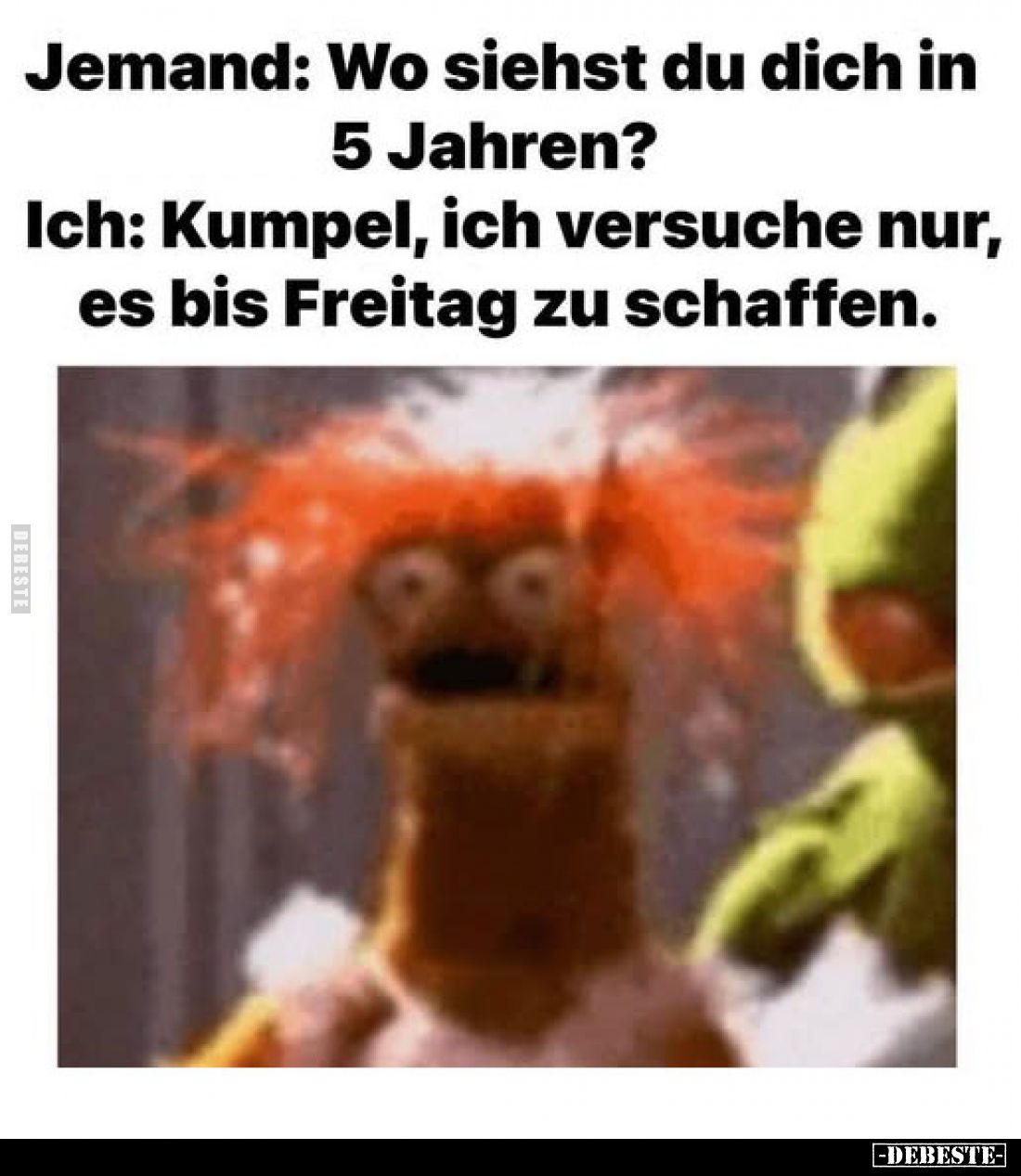 Jemand: Wo siehst du dich in
5 Jahren?
Ich: Kumpel, ich versuche nur, es bis Freitag zu schaffen.