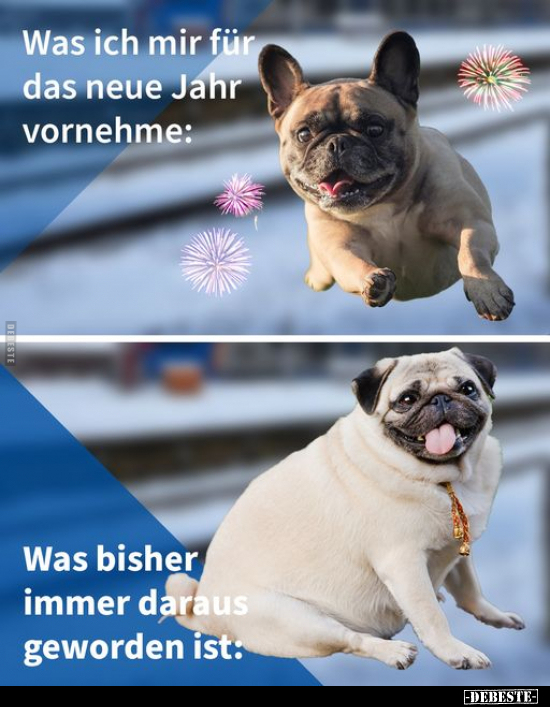 Was ich mir für das neue Jahr vornehme:.. - Lustige Bilder | DEBESTE.de
