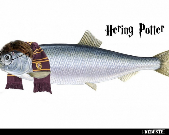 Hering Potter.. - Lustige Bilder | DEBESTE.de