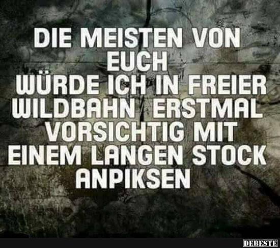 Die meisten von Ihnen würde ich in freier Wildbahn..