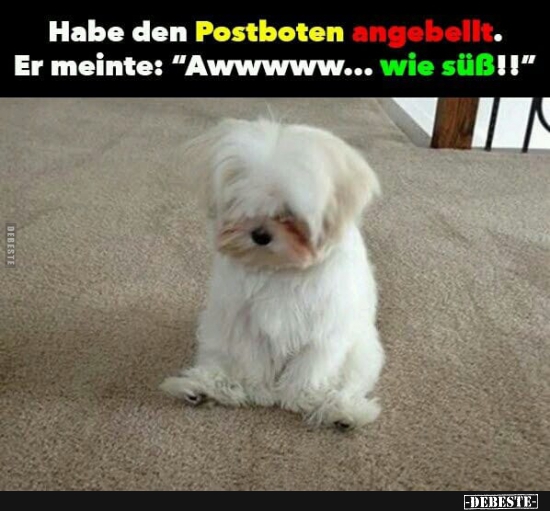 Habe den Postboten angebellt...