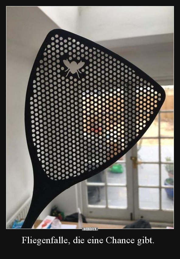 Fliegenfalle, die eine Chance gibt...