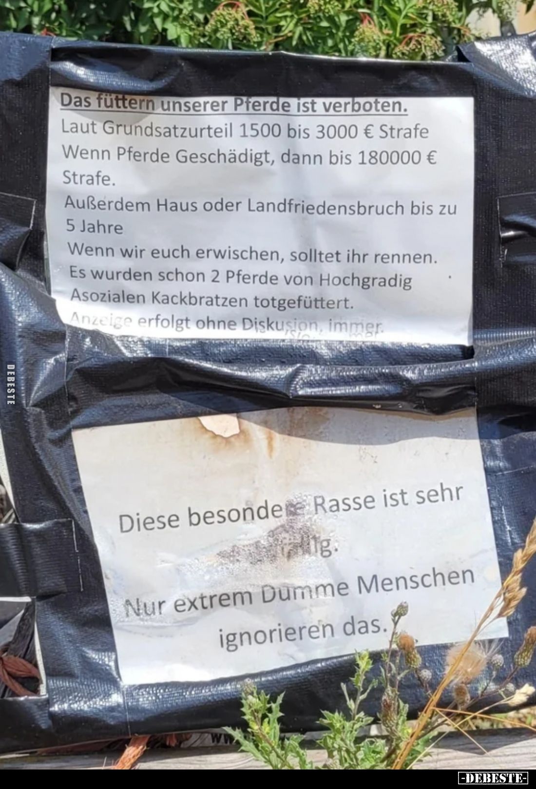 Das füttern unserer Pferde ist verboten.
Laut Grundsatzurteil 1500 bis 3000 € Strafe Wenn Pferde Geschädigt, dann bis 180000...