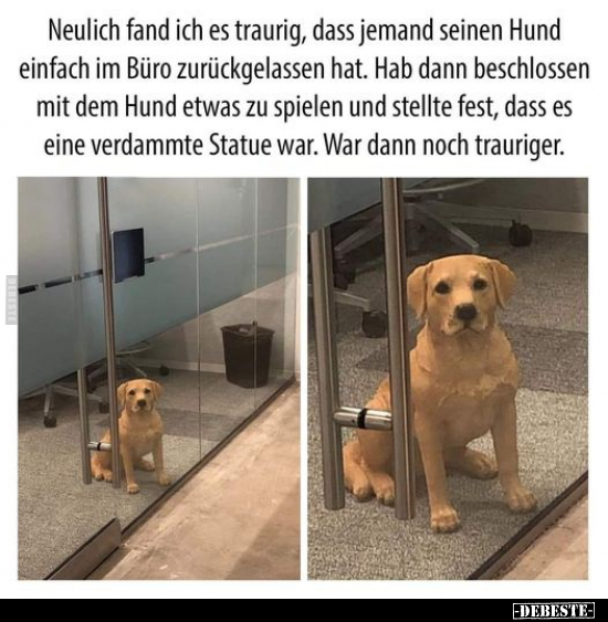Neulich fand ich es traurig, dass jemand seinen Hund.. - Lustige Bilder | DEBESTE.de