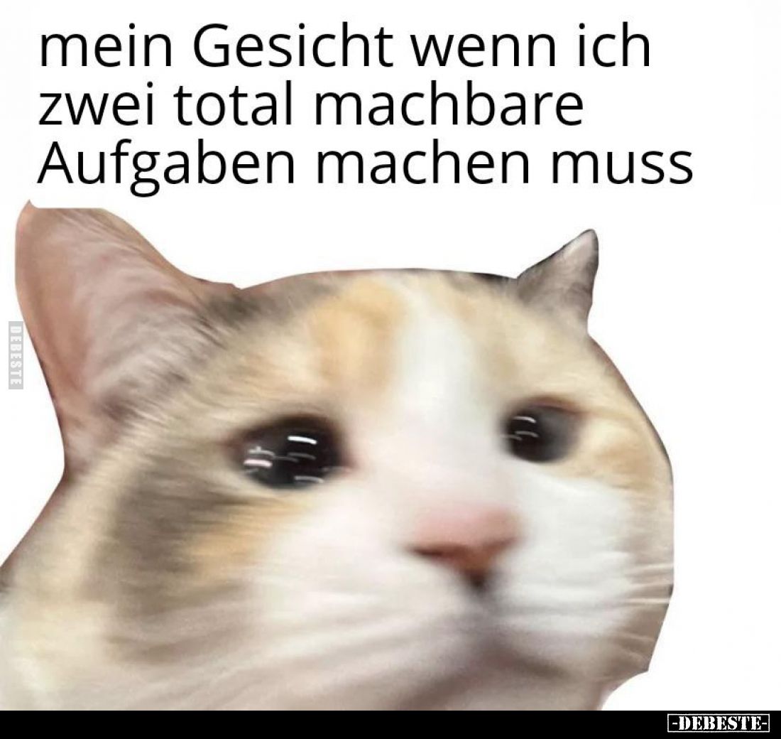 mein Gesicht wenn ich zwei total machbare Aufgaben machen muss